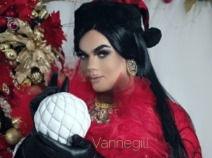 Vannegill