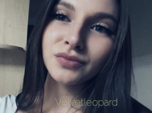 Velvetleopard