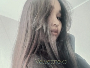 Velvettneko