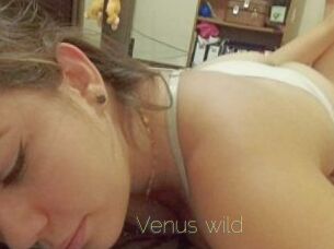 Venus_wild