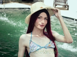Viioletarose