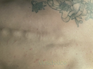 Vinsdelice