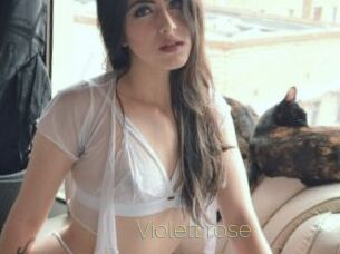 Violett_rose