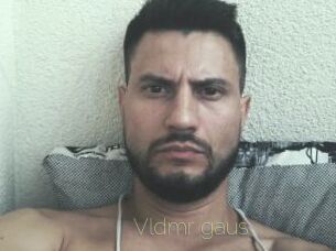 Vldmr_gaus