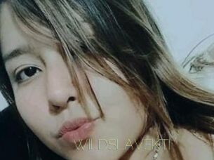 WILDSLAVEKTI