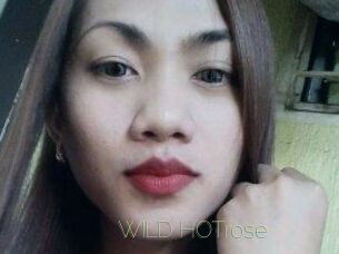 WILD_HOTrose