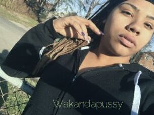 Wakandapussy Visio Tchats