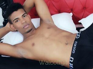 Walcott94