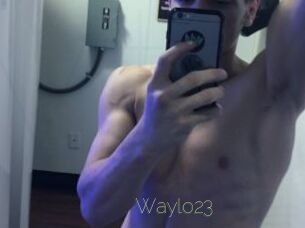 Waylo23