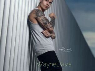 WayneDavis