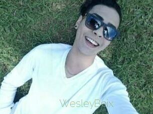 Wesley_Boix