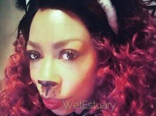 WetEstuary