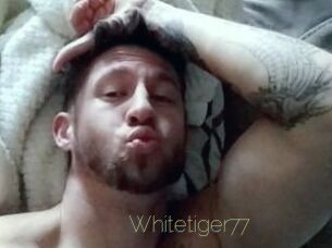 Whitetiger77