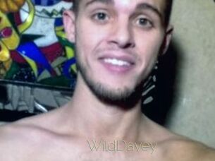 WildDavey
