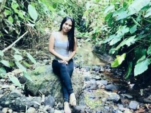 Wild_Rose18