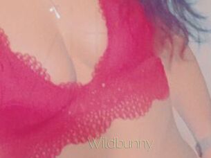 Wildbunny Visio Tchats