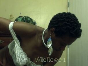 Wildflower1