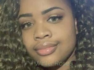 Winter_Rosea