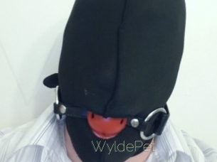 WyldePet Visio Tchats