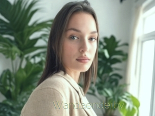 Wandaenderby