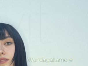 Wandagallamore