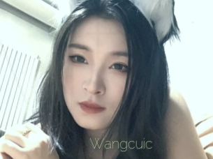 wangcuic Visio Tchats