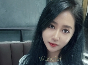 Wangfer