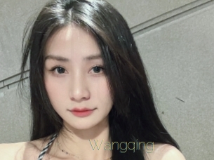 wangqing Visio Tchats