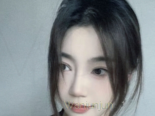 wanjunjun Visio Tchats