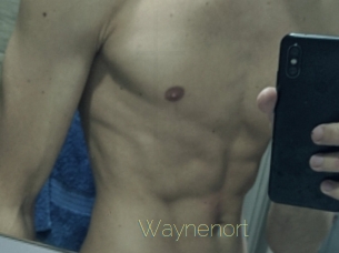 Waynenort