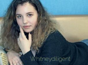 whitneydiligent Visio Tchats