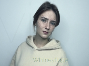 Whitneyfigge
