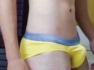 Wild_STUD