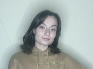 Wildaborer