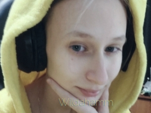 wildahamm Visio Tchats
