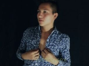 Wildboysex