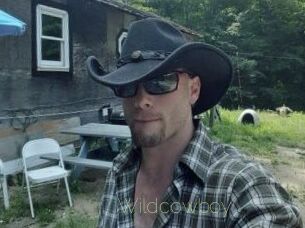 Wildcowboy