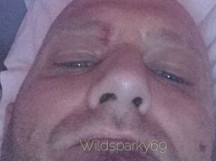 Wildsparky69