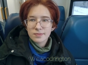 Willacodrington