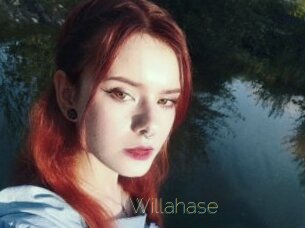 Willahase