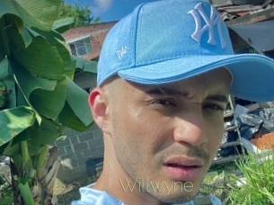 Willwyne