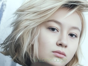 Wilonefudge