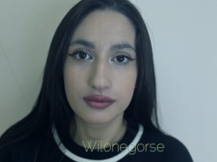 Wilonegorse