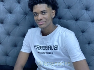 Wilowsacks