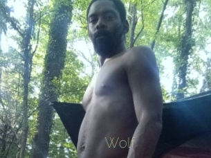 Wolf
