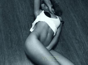 YNEES Visio Tchats