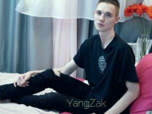 YangZak Visio Tchats