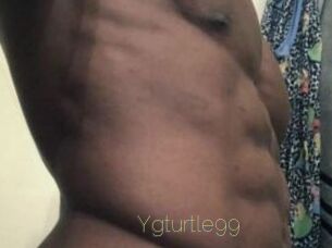 Ygturtle99