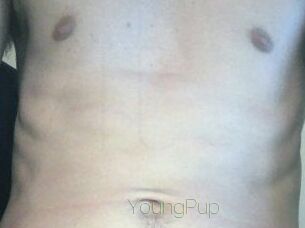 YoungPup