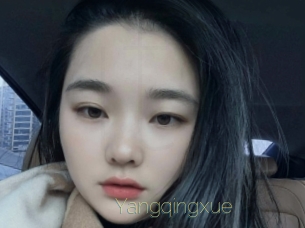 Yangqingxue